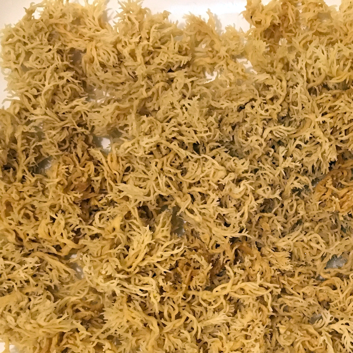 Instructions for Using Grenadian Sea moss (Eucheuma cottonii)